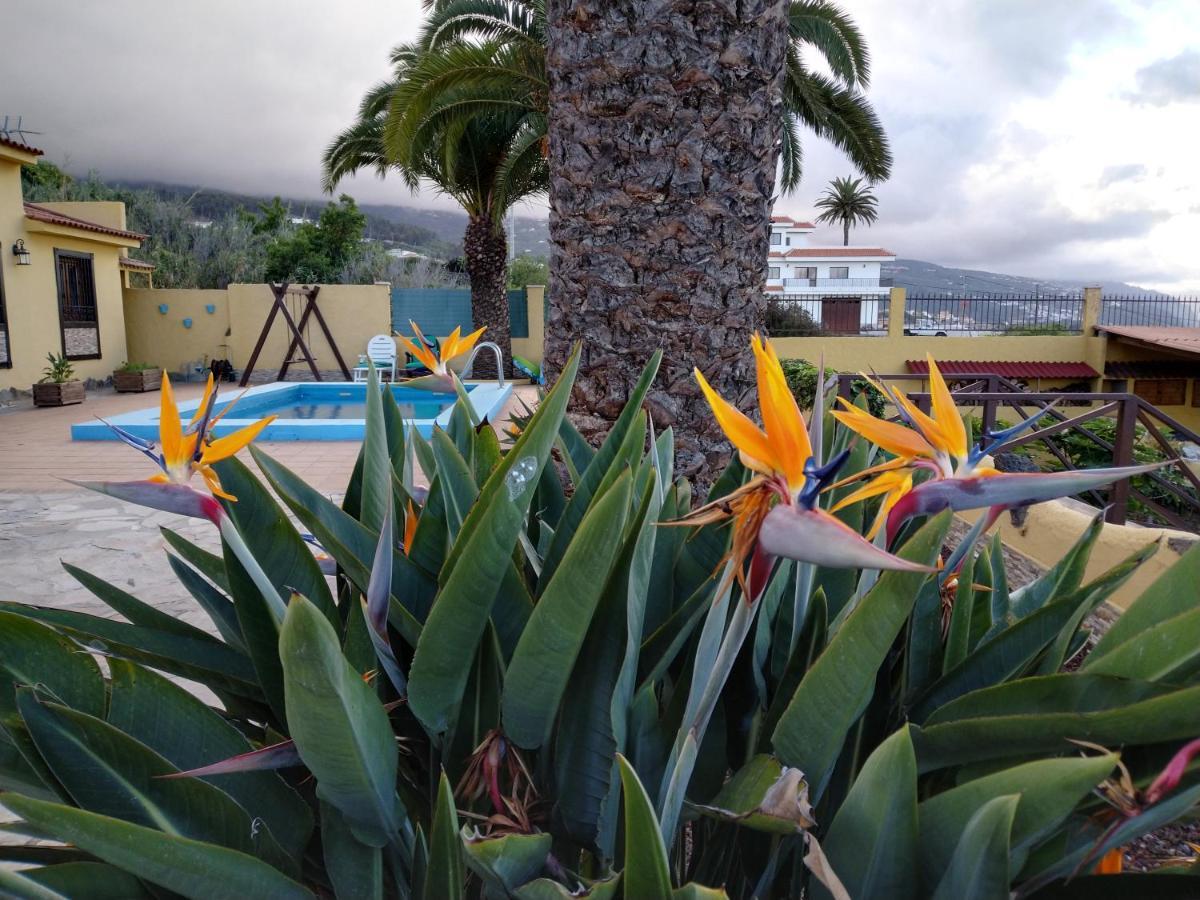Apartamento La Costa Santa Cruz de Tenerife Eksteriør bilde