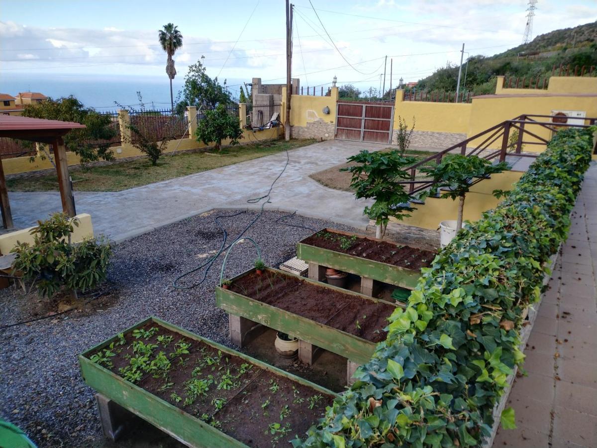 Apartamento La Costa Santa Cruz de Tenerife Eksteriør bilde